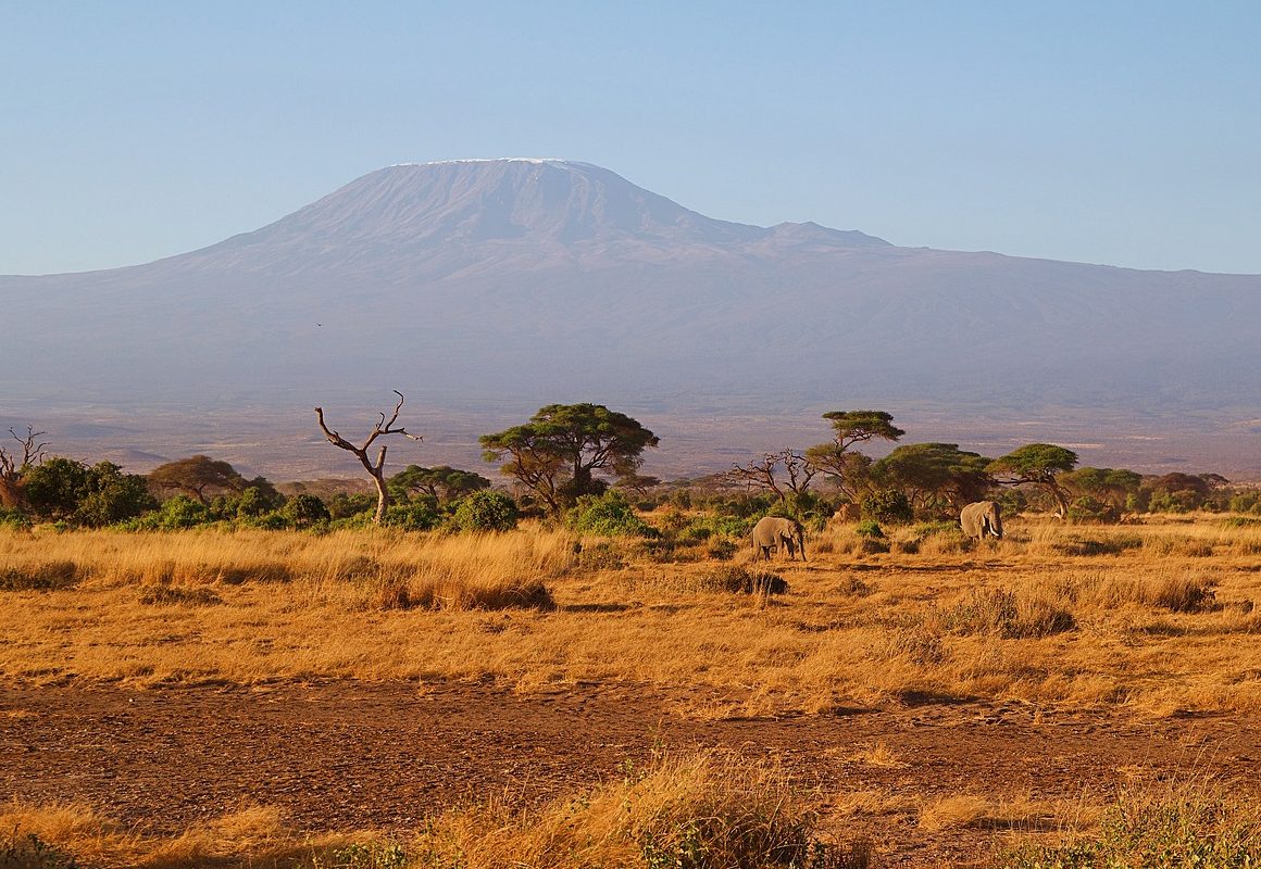 Wyprawa na Kilimandżaro