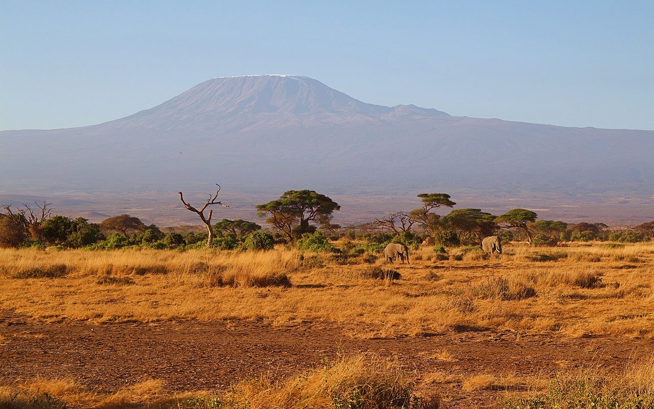 Aklimatyzacja to podstawa. Dlaczego tak wiele osób źle się czuje w trakcie wyprawy na Kilimandżaro?