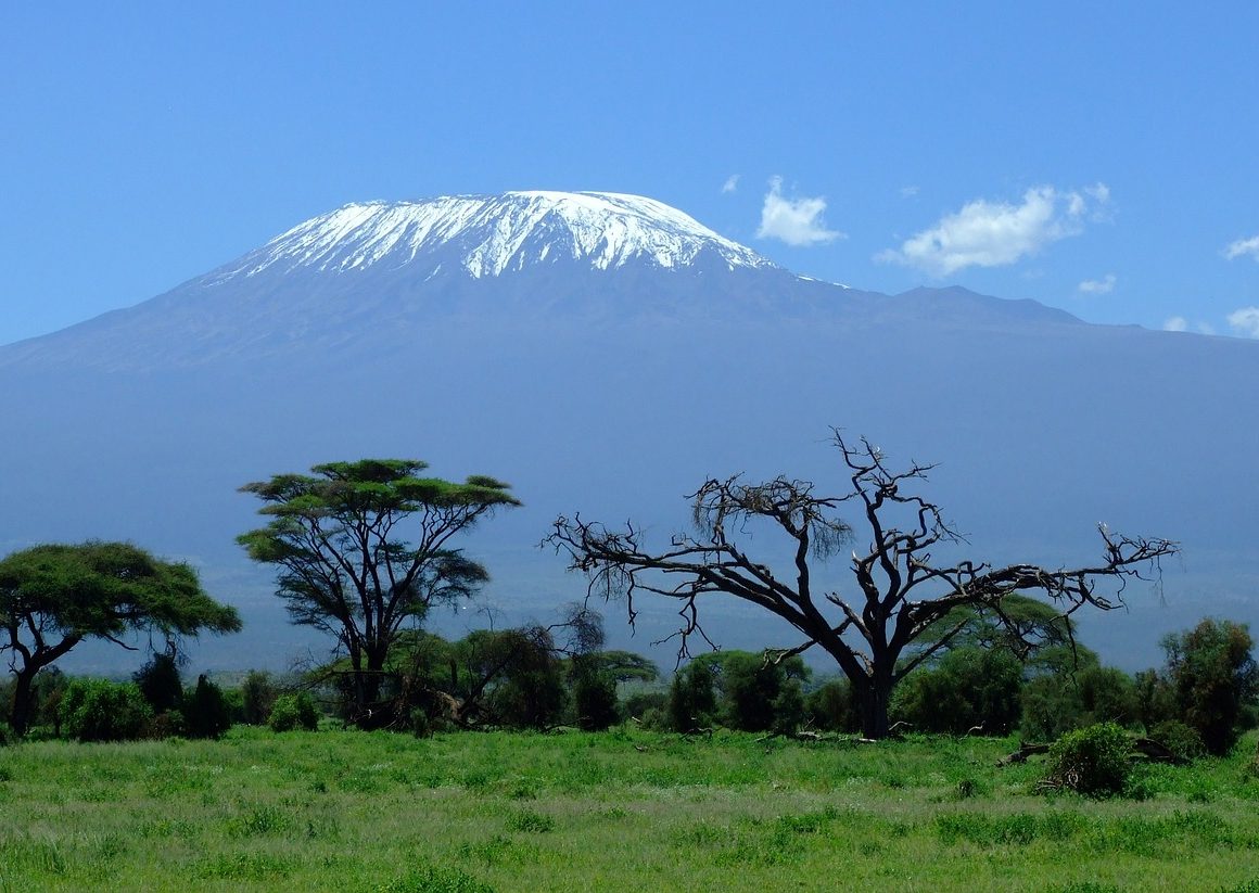kilimanjaro
