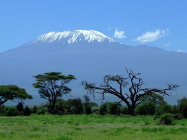 kilimanjaro